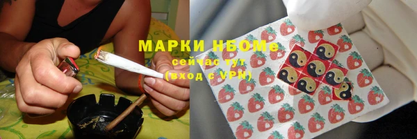 гашик Осташков