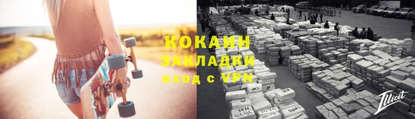 хмурый Белая Холуница