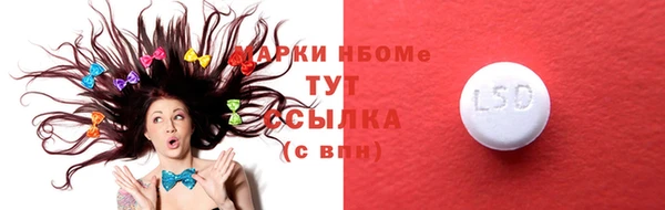 гашик Осташков