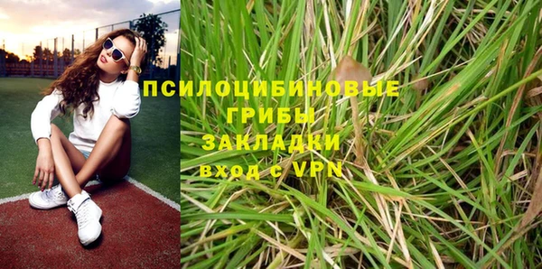 хмурый Белая Холуница