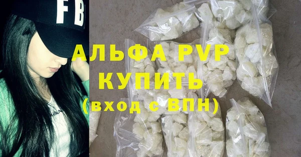 гашик Осташков