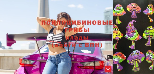 гашик Осташков