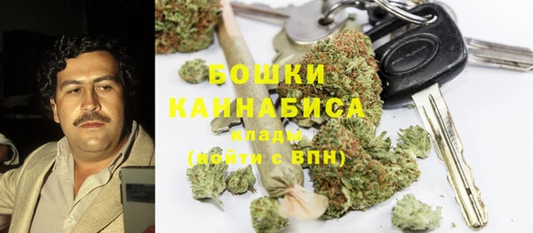 гашик Осташков