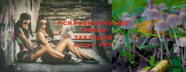 мдма Пересвет