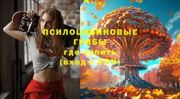 крисы Переславль-Залесский