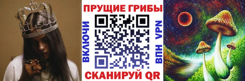 Псилоцибиновые грибы мухоморы  Воронеж 