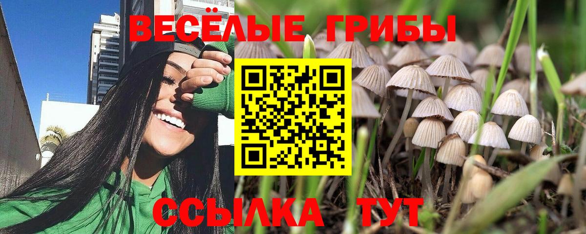 Псилоцибиновые грибы прущие грибы  купить наркотики цена  Вход с VPN  Воронеж  Галлюциногенные грибы прущие грибы 
